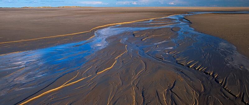 Tidal gully outlet running through a mudflat. © Martin Stock.