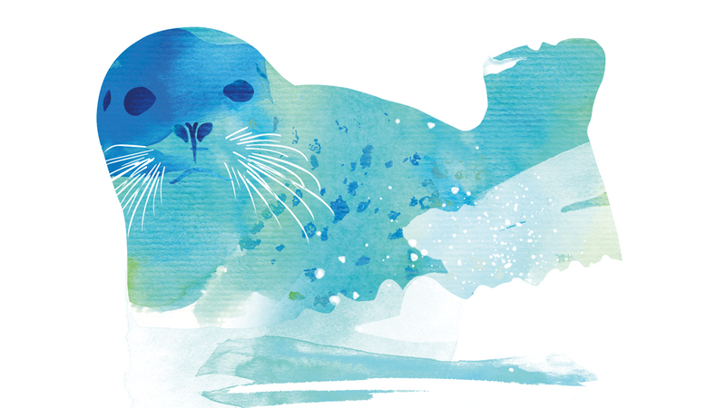 Seal. CWSS/Creative Concern.