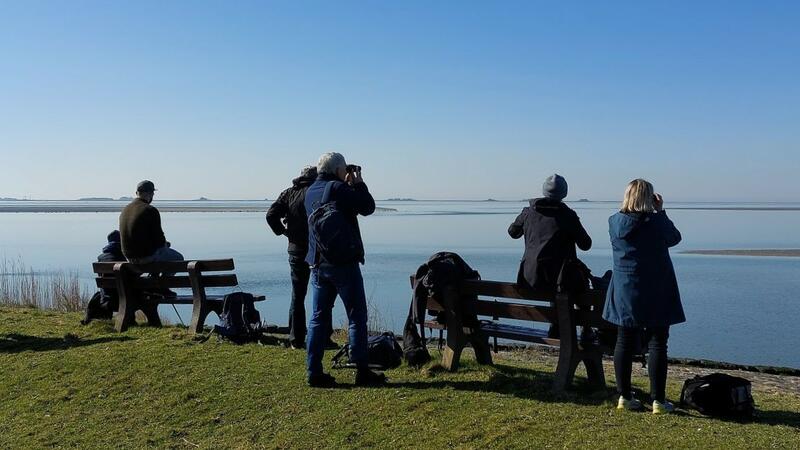 A small group of people stand on flat land and look onto the sea, some with binoculars. © CWSS/Meise. A small group of people stand on flat land and look onto the sea, some with binoculars. © CWSS/Meise.